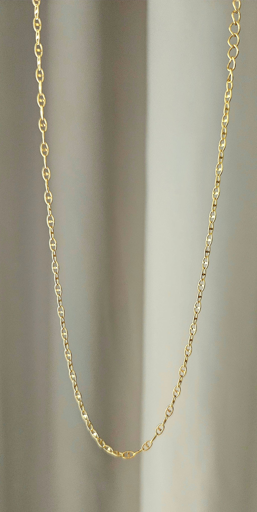 Bold (Gold)